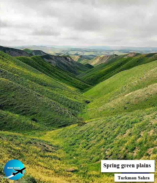 Spring Green Plains - Turkman Sahra