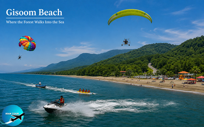 Gisoom Beach — Where the Forest Walks Into the Sea