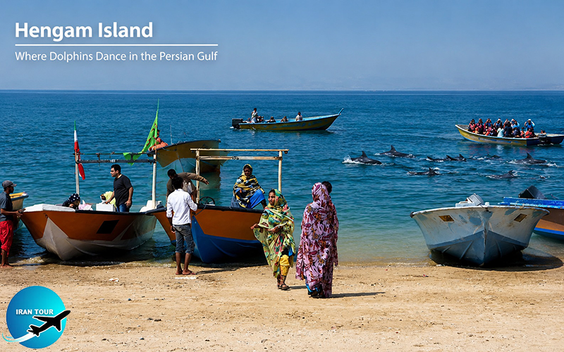 Hengam Island The Dolphin Sanctuary