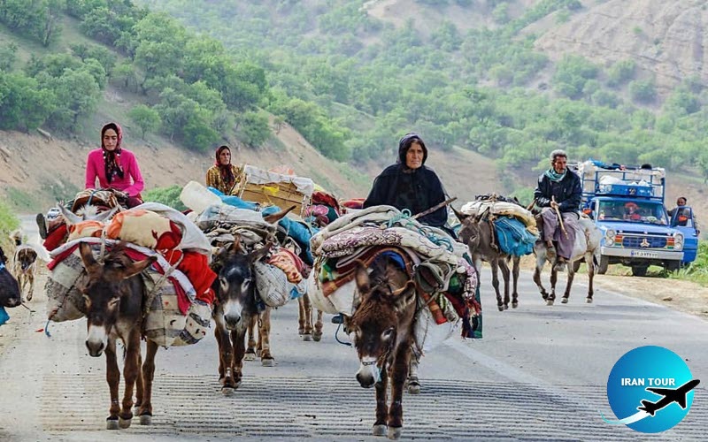 Iran Nomads Migration Tour